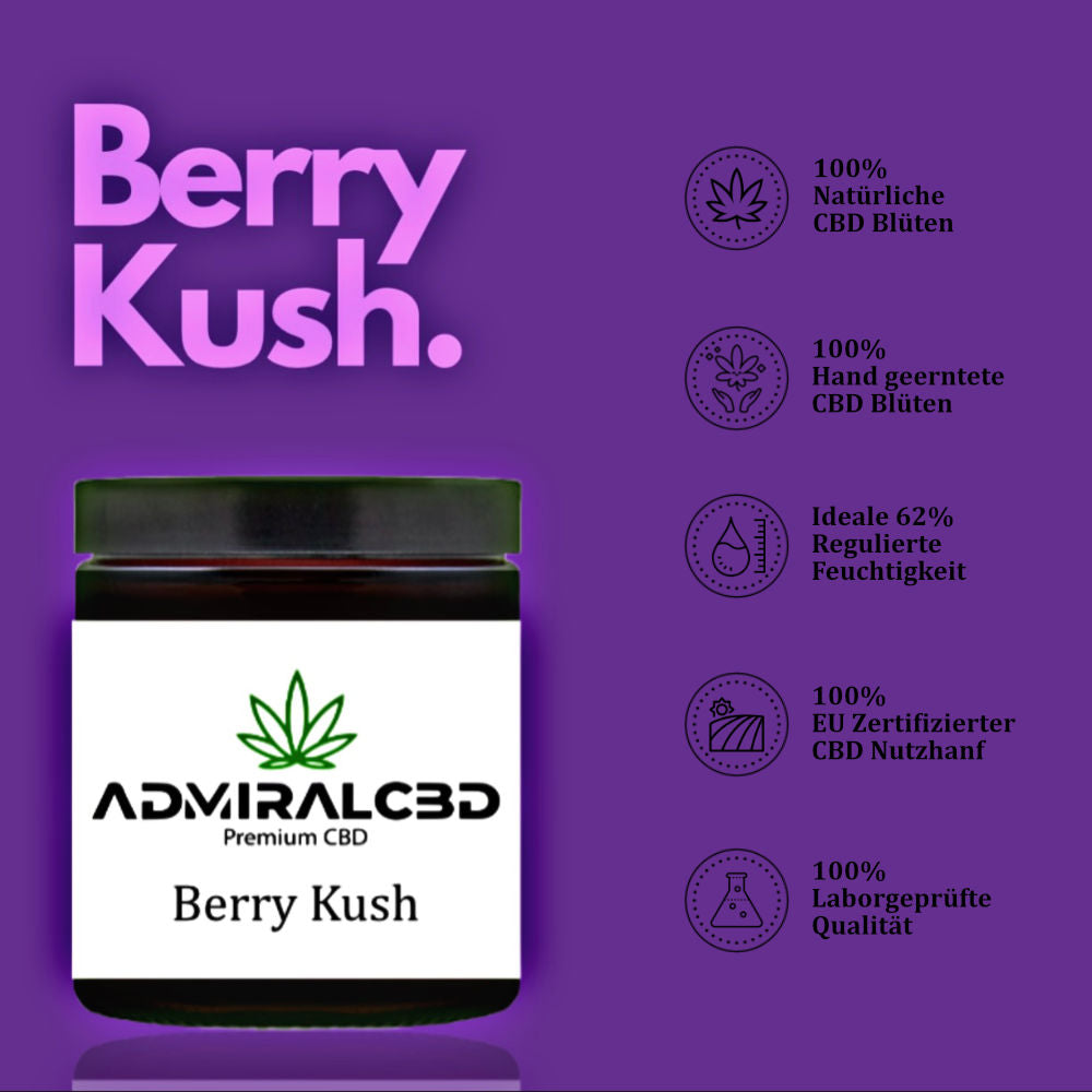 CBD Blüten Berry Kush von Admiralcbd