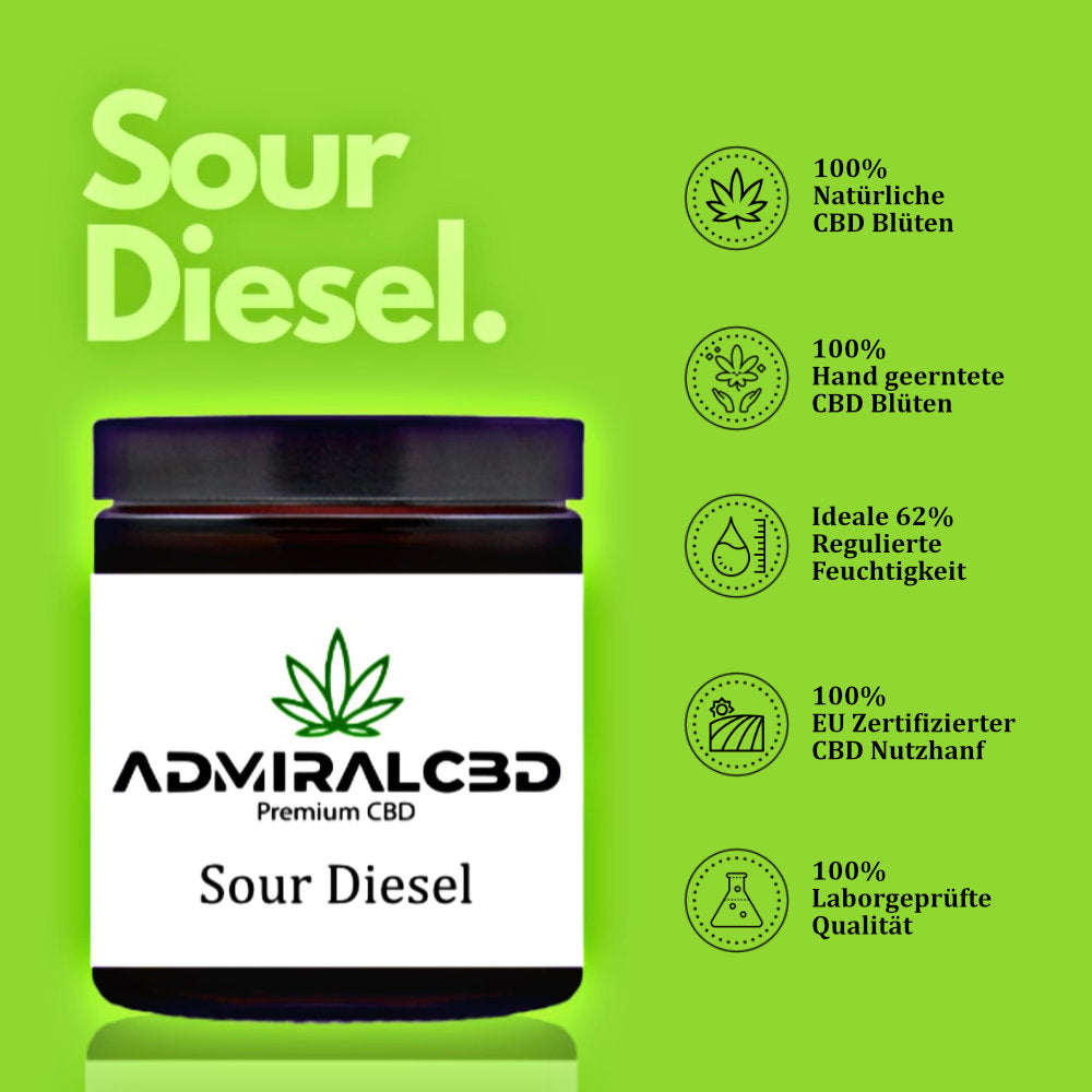 CBD Blüten Sour Diesel von Admiralcbd