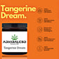 CBD Blüten Tangerine Dream von Admiralcbd