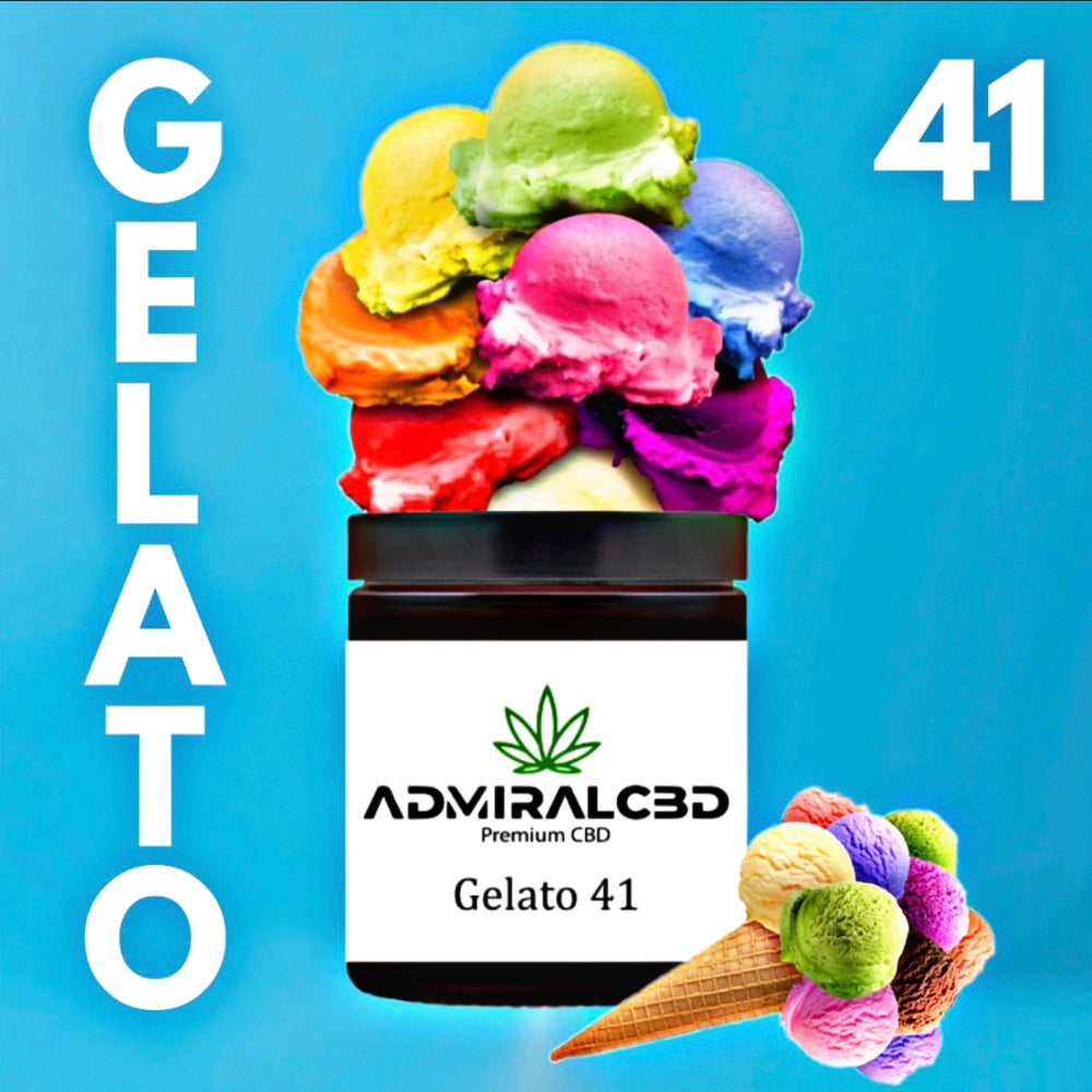 CBD Blüten Gelato41 von AdmiralCbd