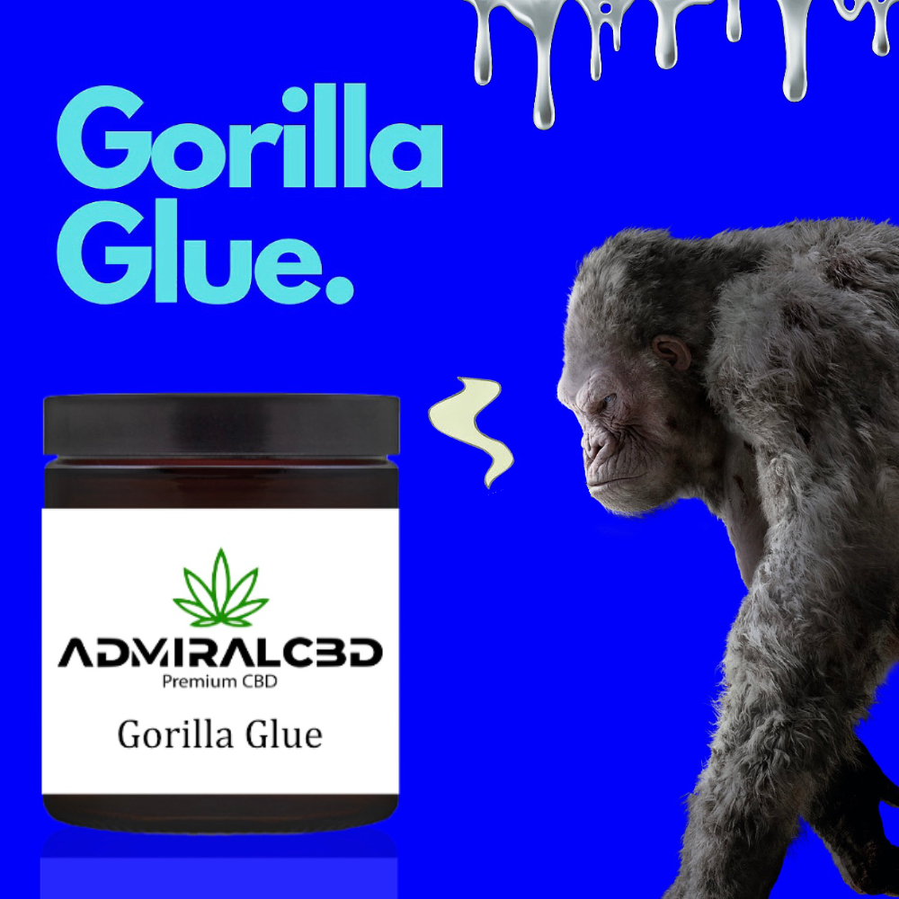 CBD Blüten Gorilla Glue von Admiralcbd