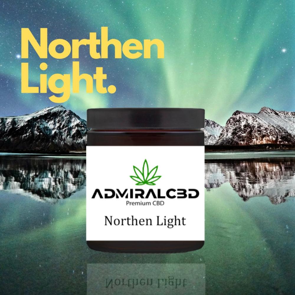 CBD Blüten Northen Light von AdmiralCbd