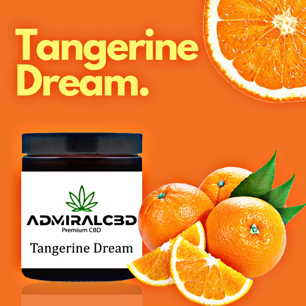 CBD Blüten Tangerine Dream von AdmiralCbd