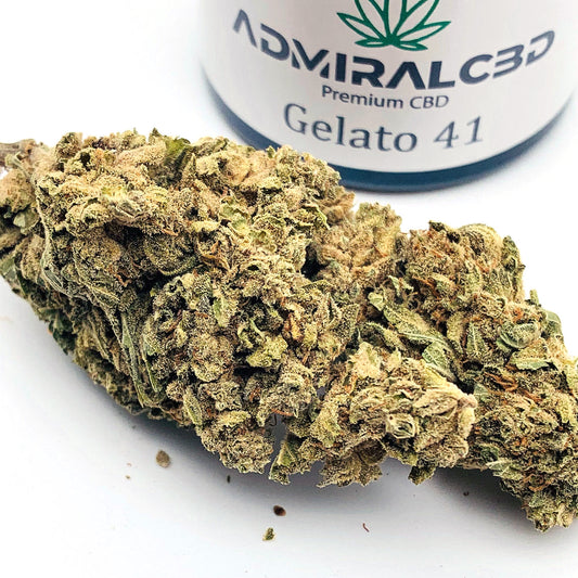 CBD Blüten Gelato41 von AdmiralCbd