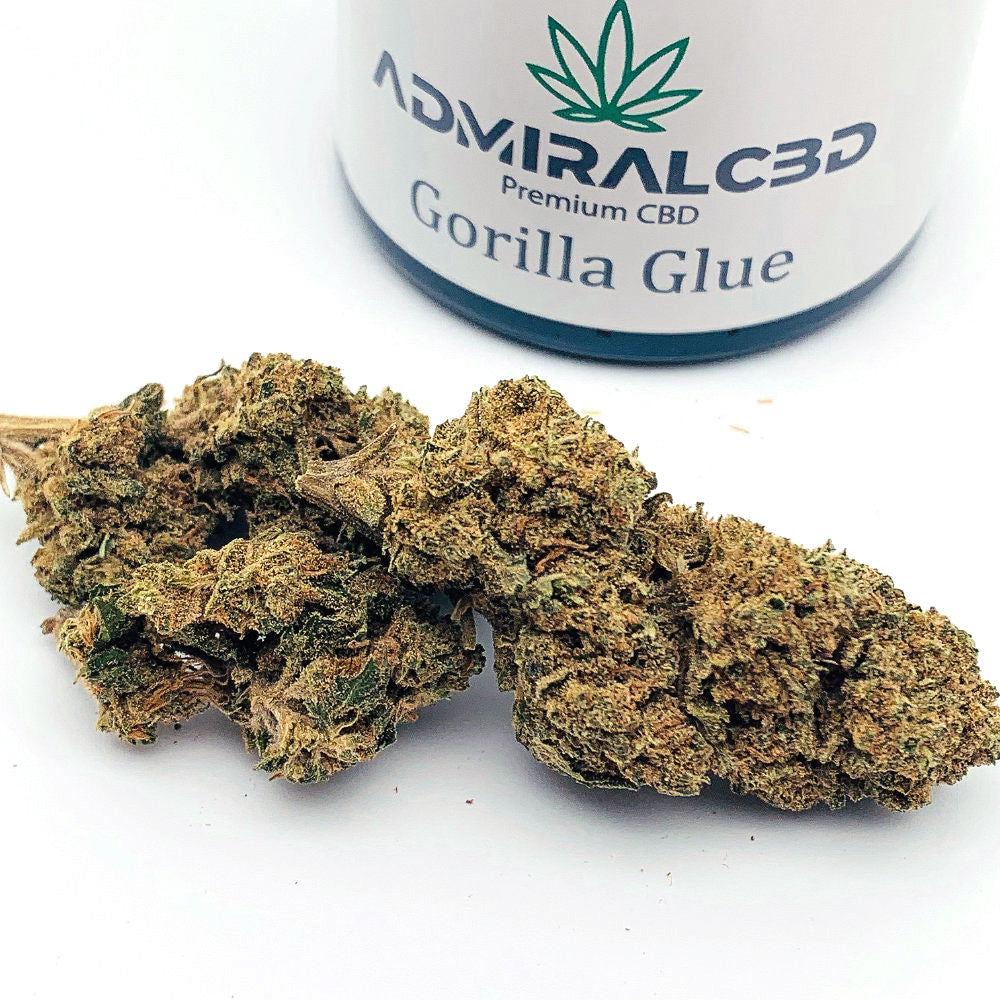 CBD Blüten Gorilla Glue von AdmiralCbd