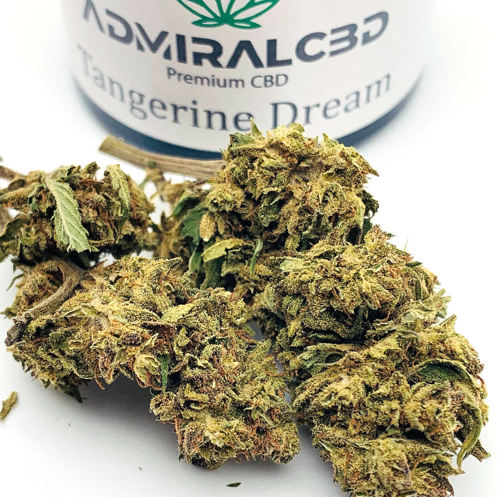 CBD Blüten Tangerine Dream von AdmiralCbd