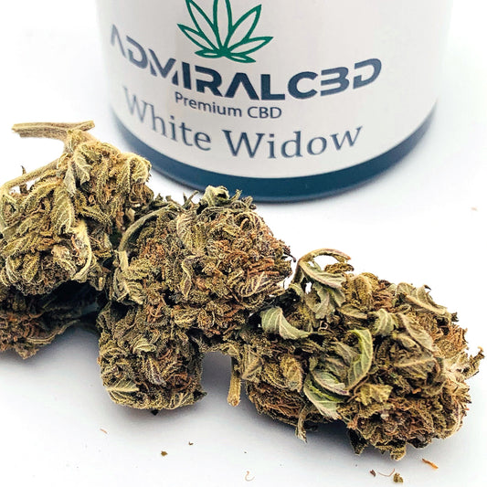 CBD Blüten White Widow von AdmiralCbd