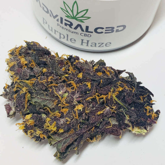 CBD Blüten Purple Haze von AdmiralCbd